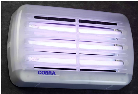 英國捕霸cobra原裝進口高效粘捕式滅蠅燈